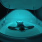 Dreampod V2 Commercial Home Flotation Sensory Isolation Tank Pod Spa [DPFP201WPE] (SAK93817)